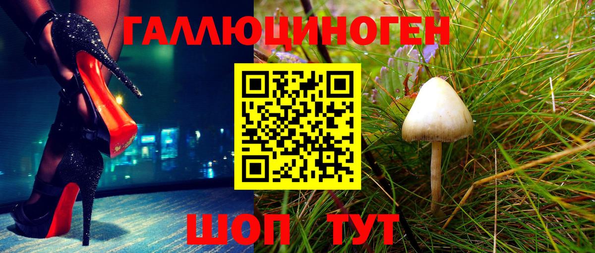 Псилоцибиновые грибы Cubensis  Вход с VPN  Псилоцибиновые грибы мухоморы  Лесосибирск 